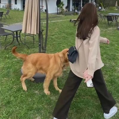 小夫妻粤语